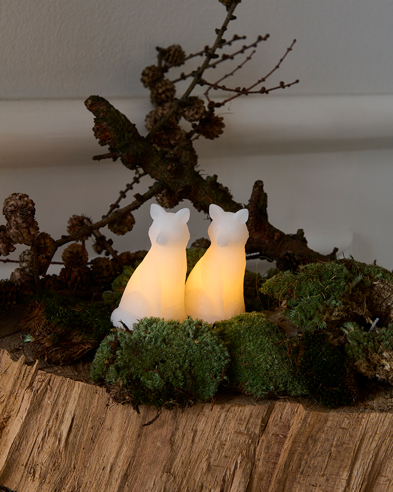 Edda Fox, 2 pcs. set