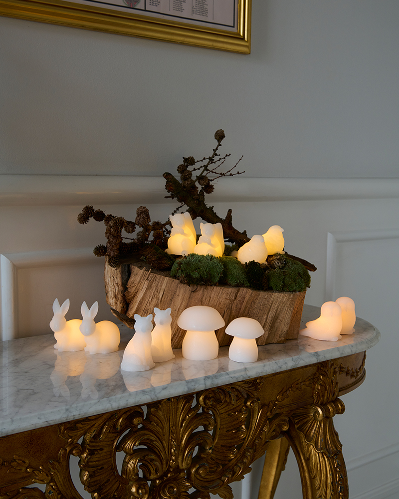 Edda Fox, 2 pcs. set