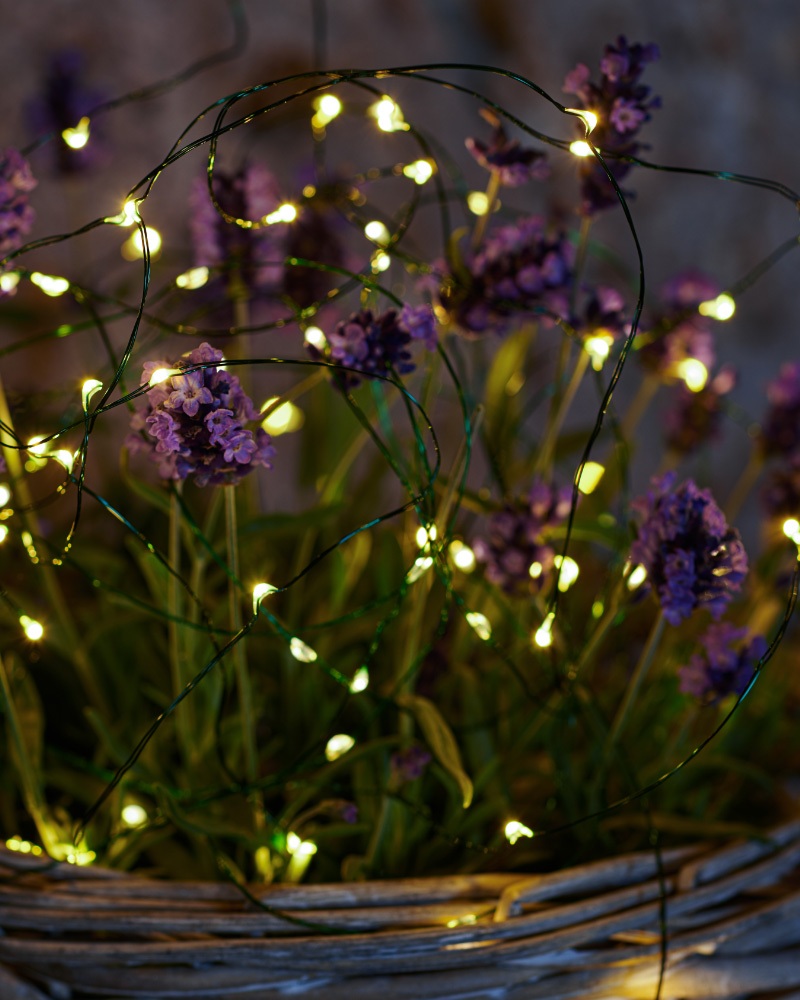 Knirke 160 LED, 15.9m, Green