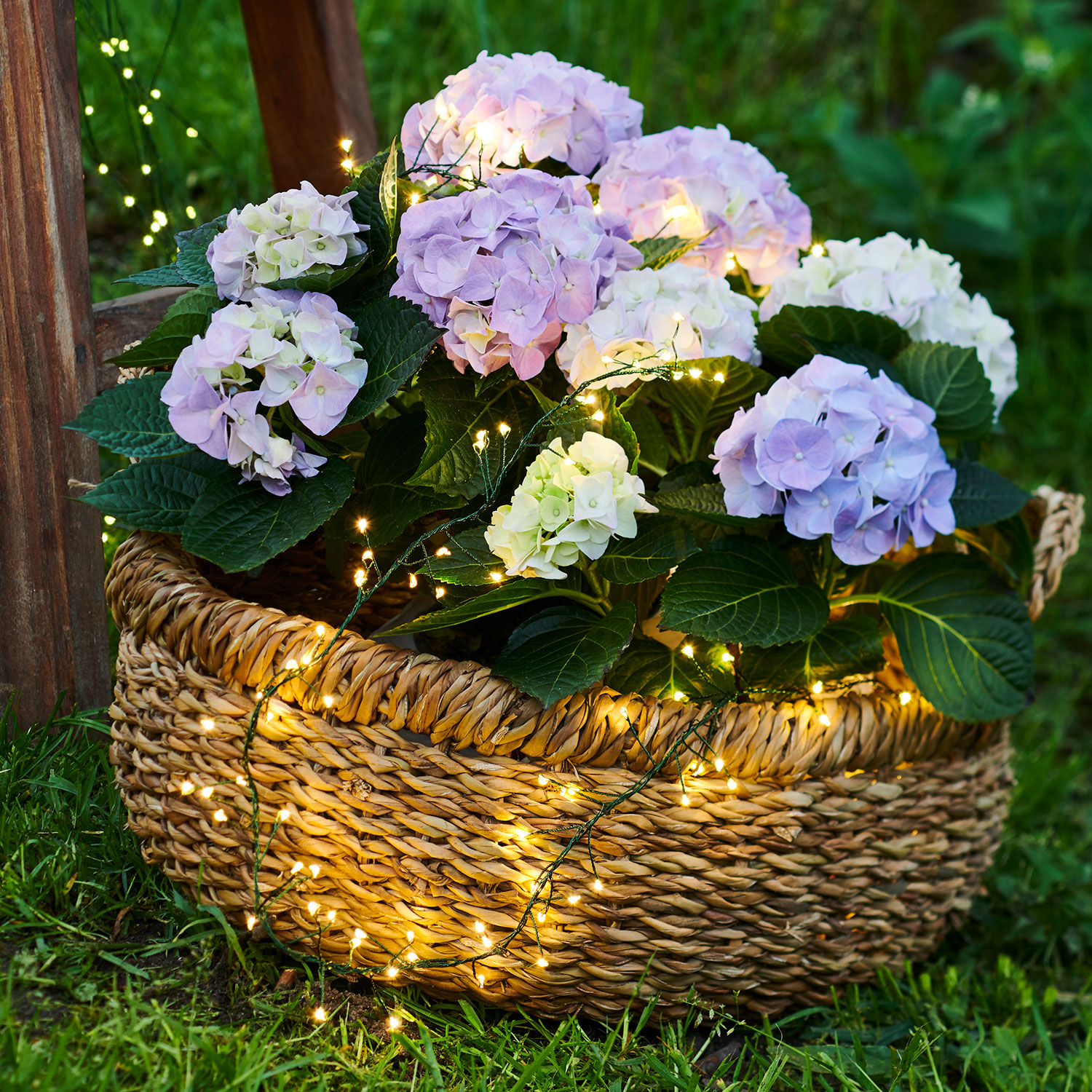 Knirke Cluster 160 LED, 2m, Green