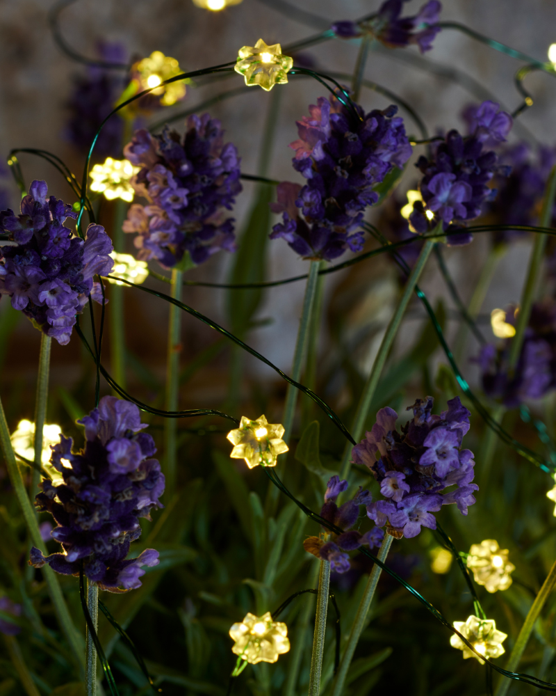 Silke Miniflower 40 LED, 3.9m, Green