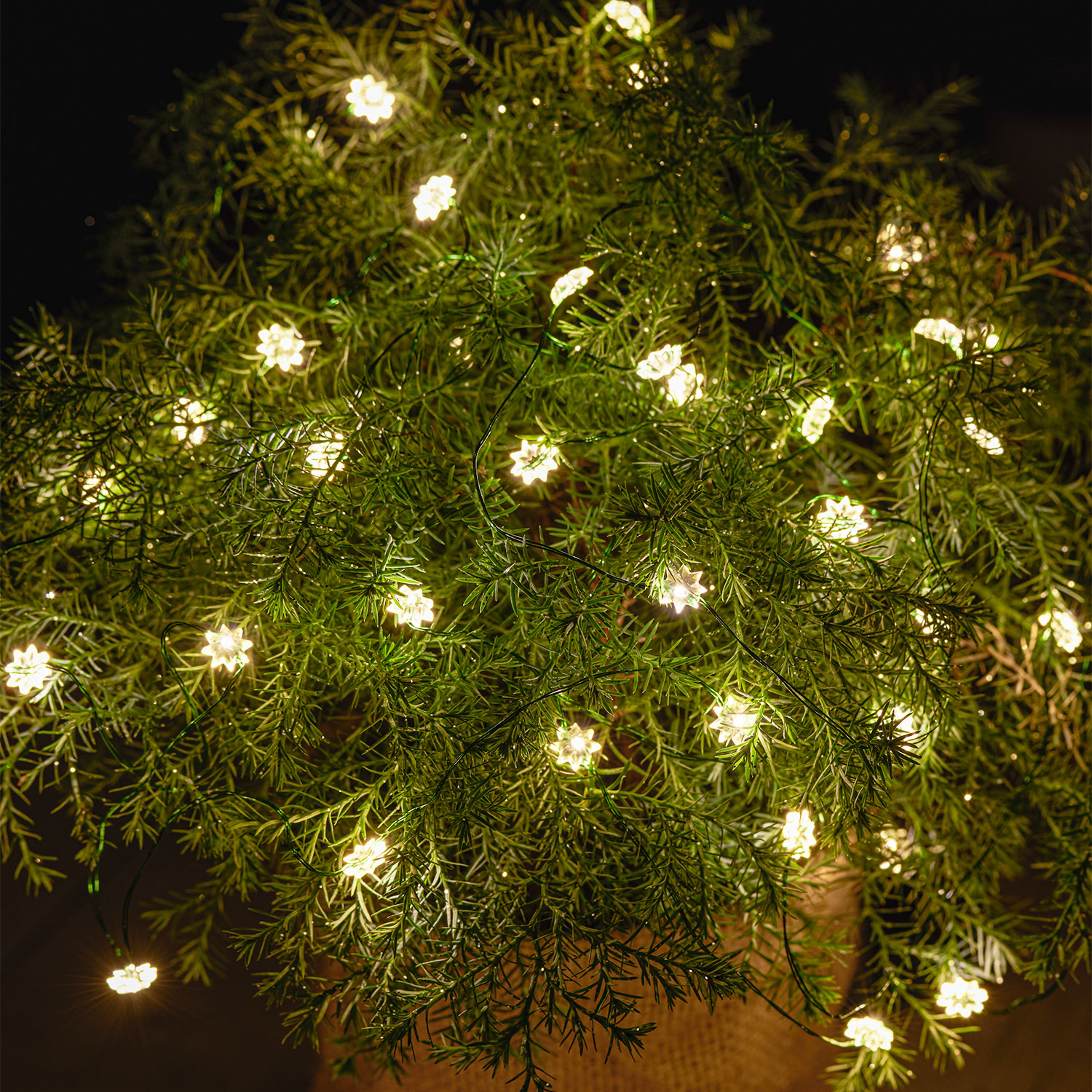 Silke Miniflower 40 LED, 3.9m, Green