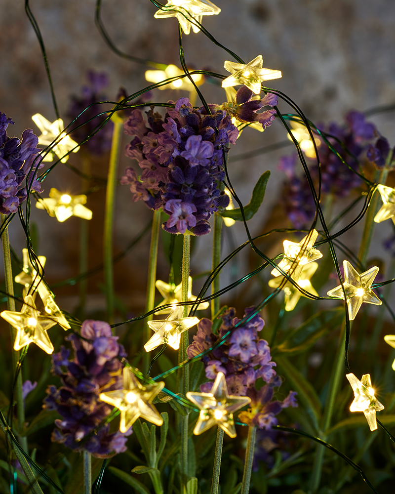 Trille Star 40 LED, 3.9 m, Green