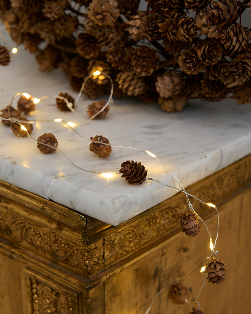 Molly Cone Garland, Brown