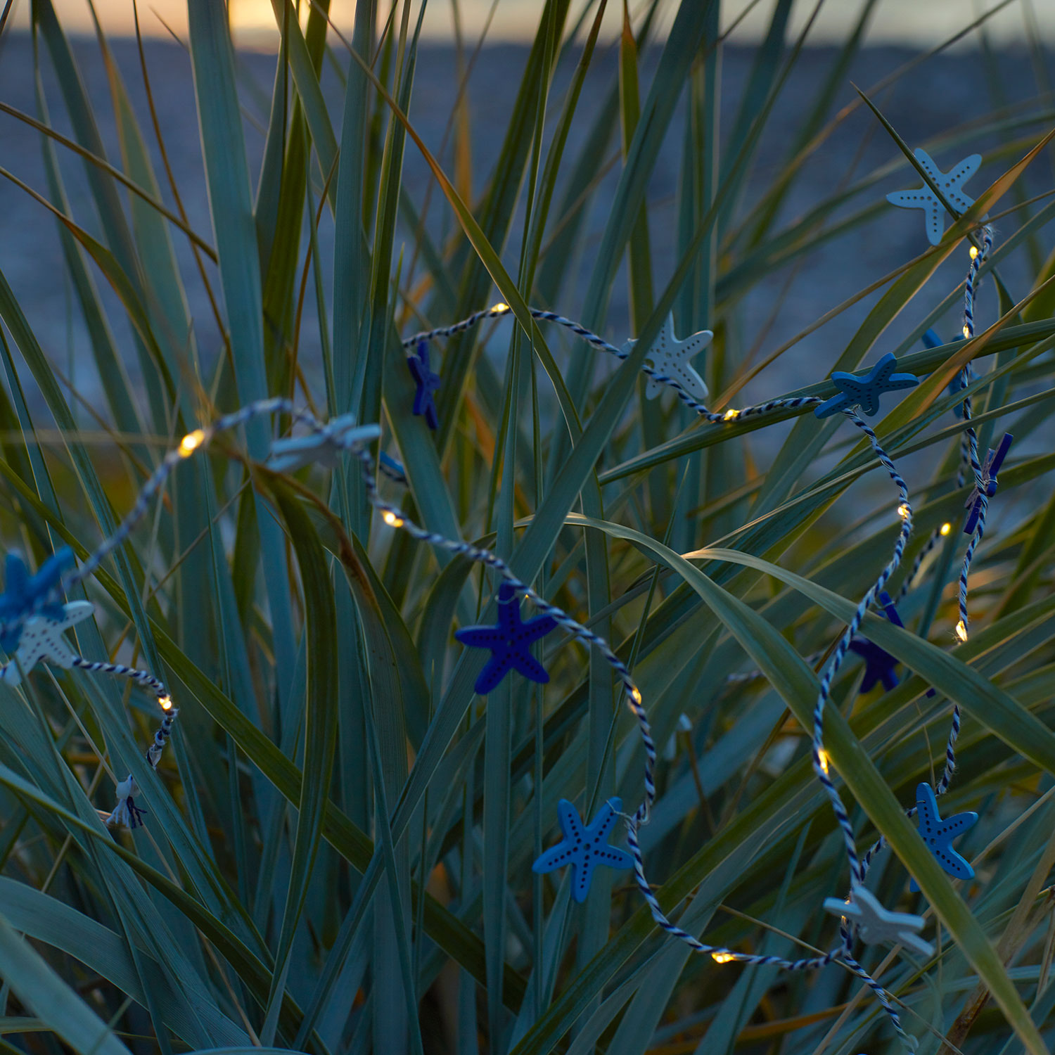 Selma Starfish, 20 LED, Blue