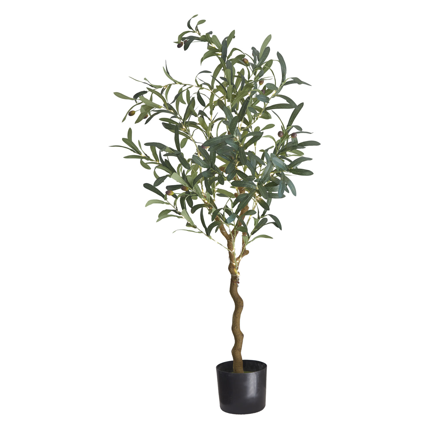 Oliva, Olive Tree, 1.2M, 120 LED