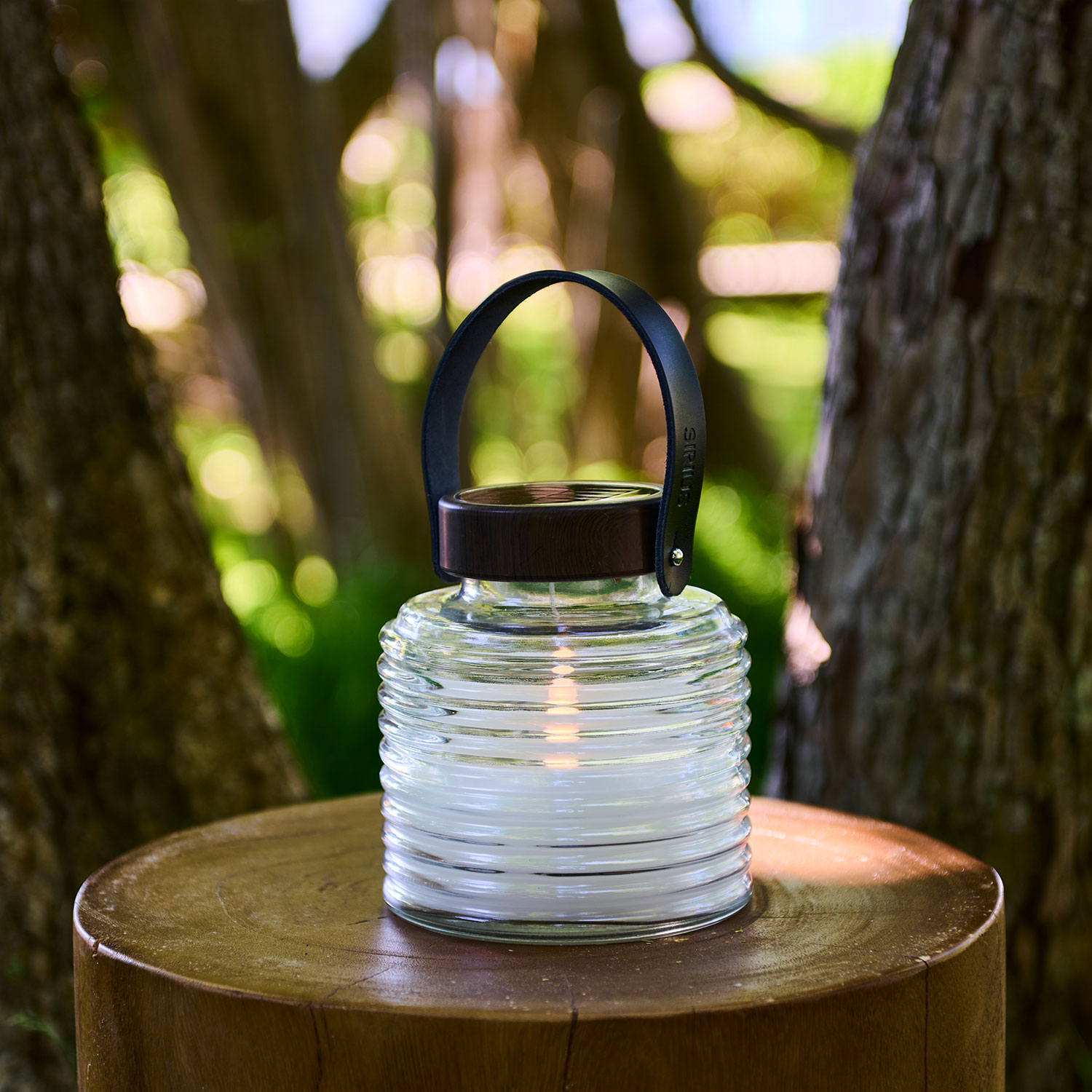 Aston Solar Jar 16cm