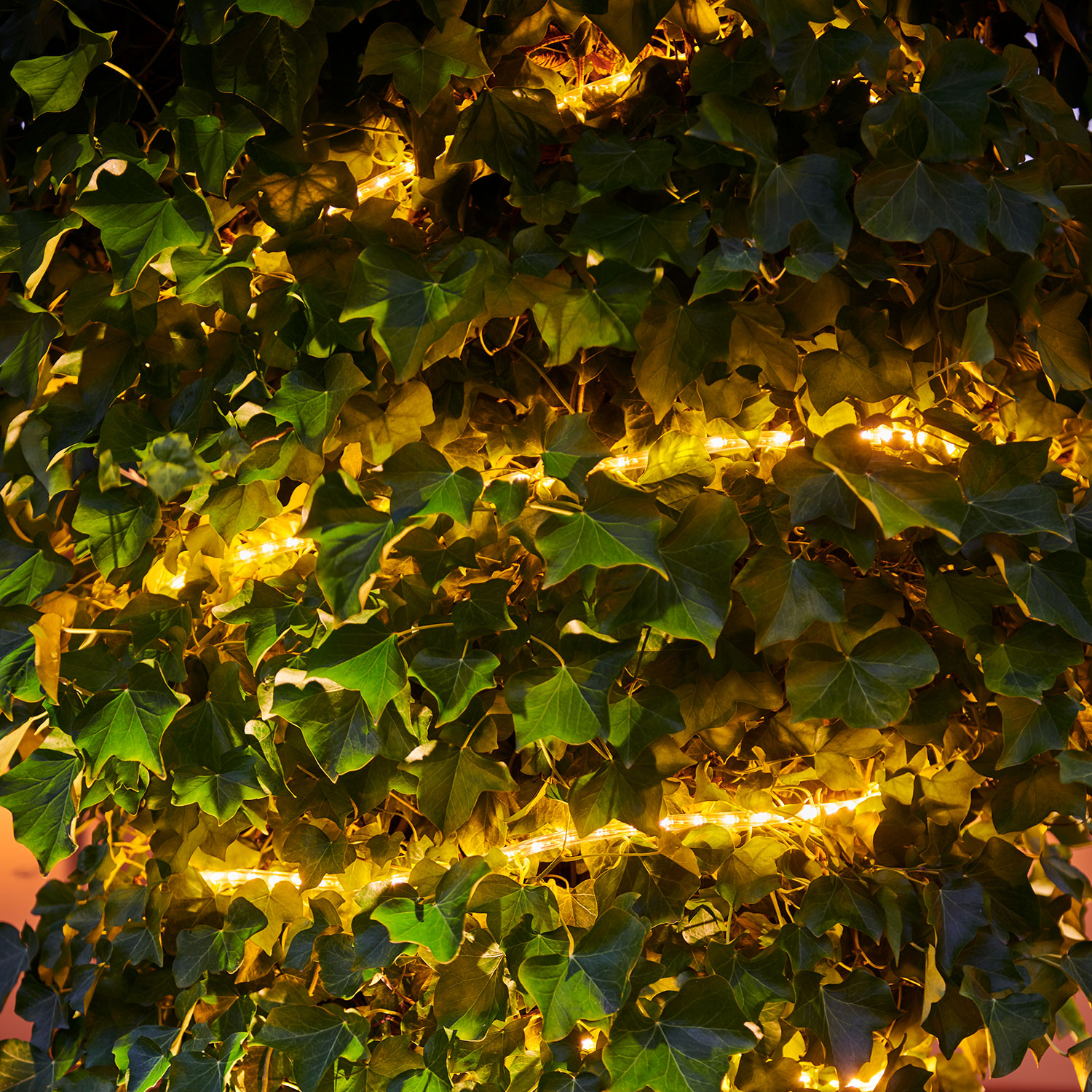 Tech-Line Ropelight Start Set 144 LED, 4m