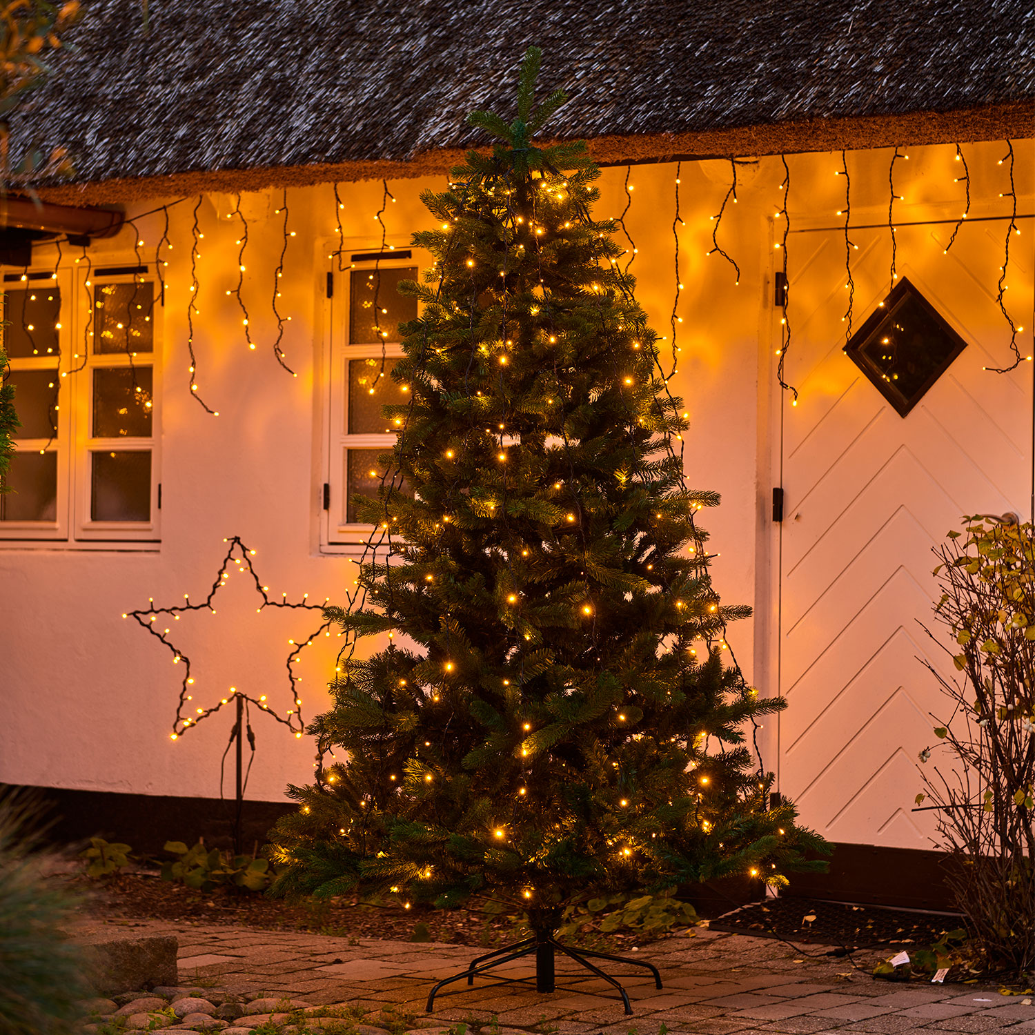 Top-Line Tree Drop Down, Steady 216 LED, 9x2.4m