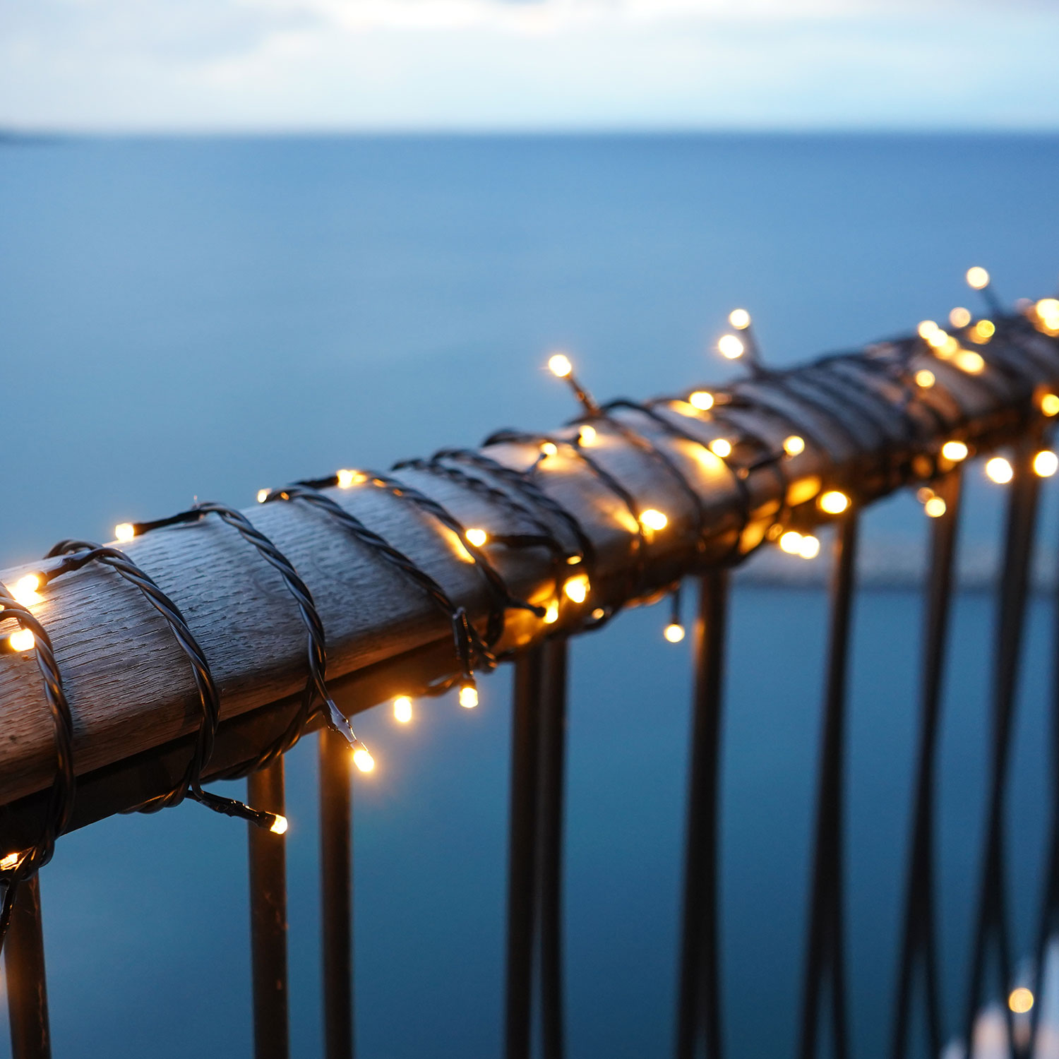 Top-Line Energy Supplement set 100 LED, 10m