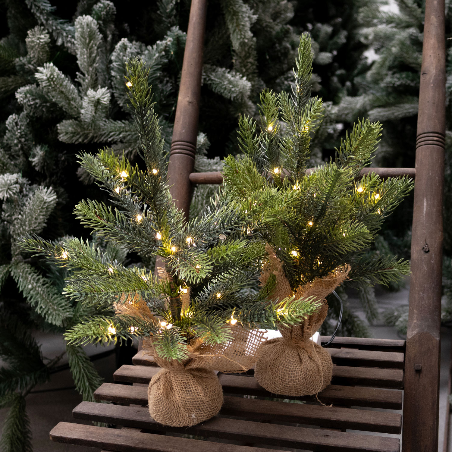 Bella Tree 30cm - 20 LED, Warm White