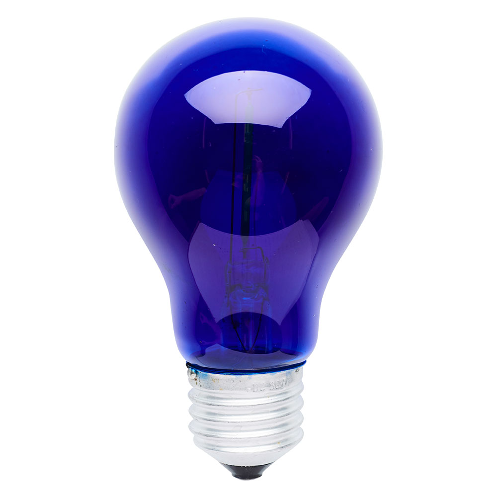 Tobias Sparebulb, Blue