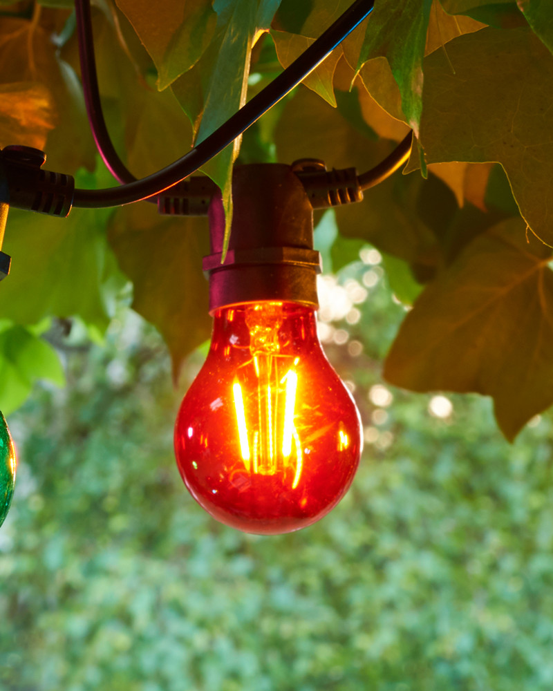 Tobias Sparebulb, Red