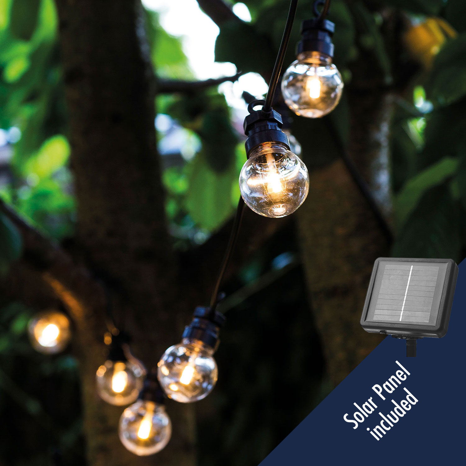 Lucas Solar Starter set, 10 LED, Clear