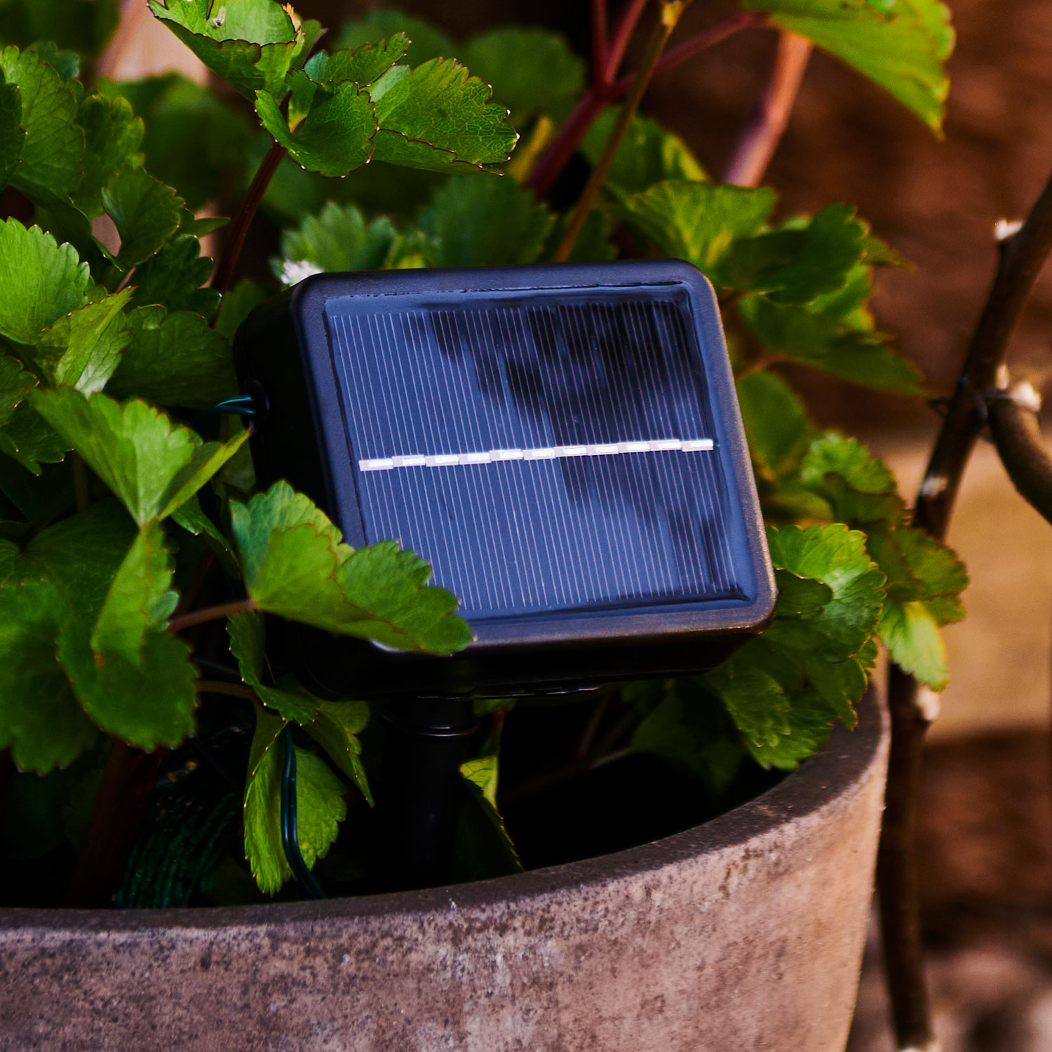 Lucas Solar panel, black